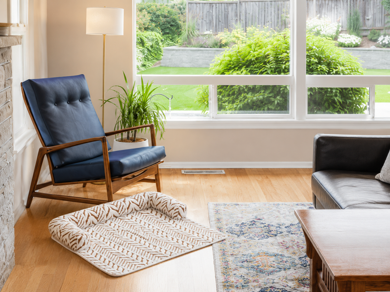 CozyClaw™ Living room with a blue armchair, coffee table, and rug.